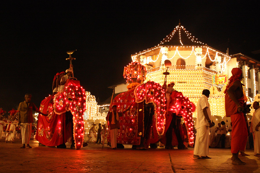 Voyage au Sri Lanka - Agence de Voyage Locale Acme Travels