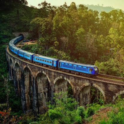 Voyage au Sri Lanka - Agence de Voyage Locale Acme Travels