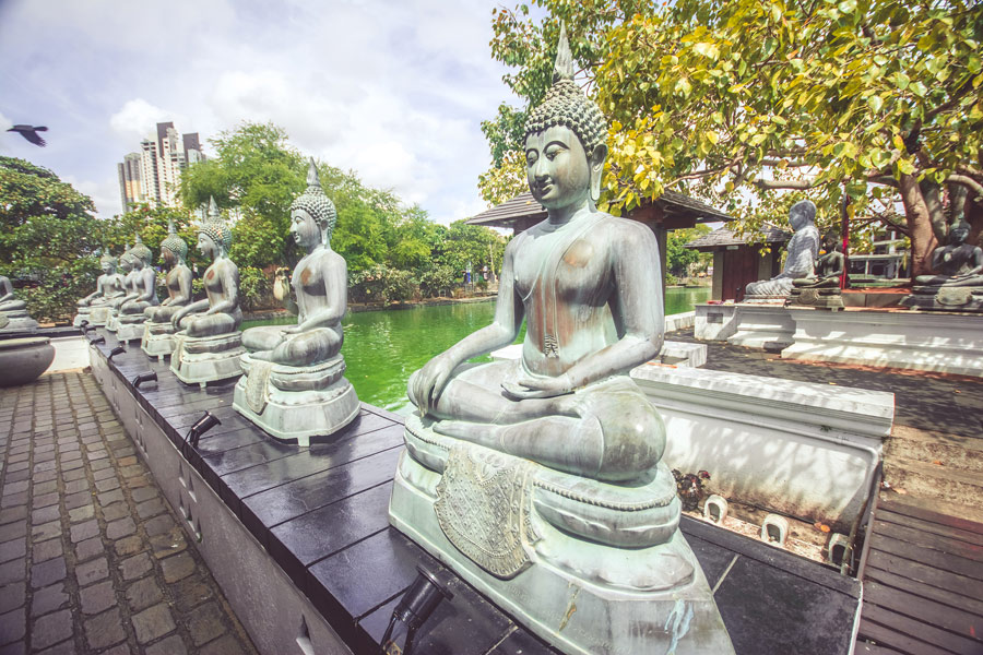 Voyage au Sri Lanka - Agence de Voyage Locale Shanti Travel