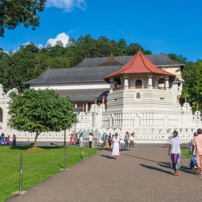 Voyage au Sri Lanka - Agence de Voyage Locale Shanti Travel