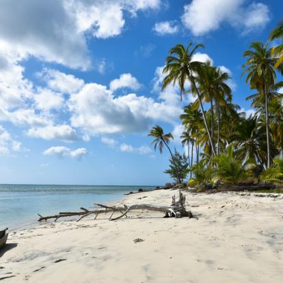 Voyage en Tanzanie - Agence de Voyage Locale Afric Aventure