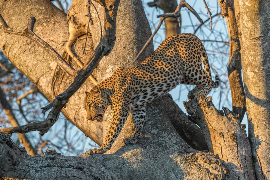 Voyage en Tanzanie - Agence de Voyage Locale Afric Aventure