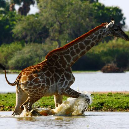 Voyage en Tanzanie - Agence de Voyage Locale Afric Aventure