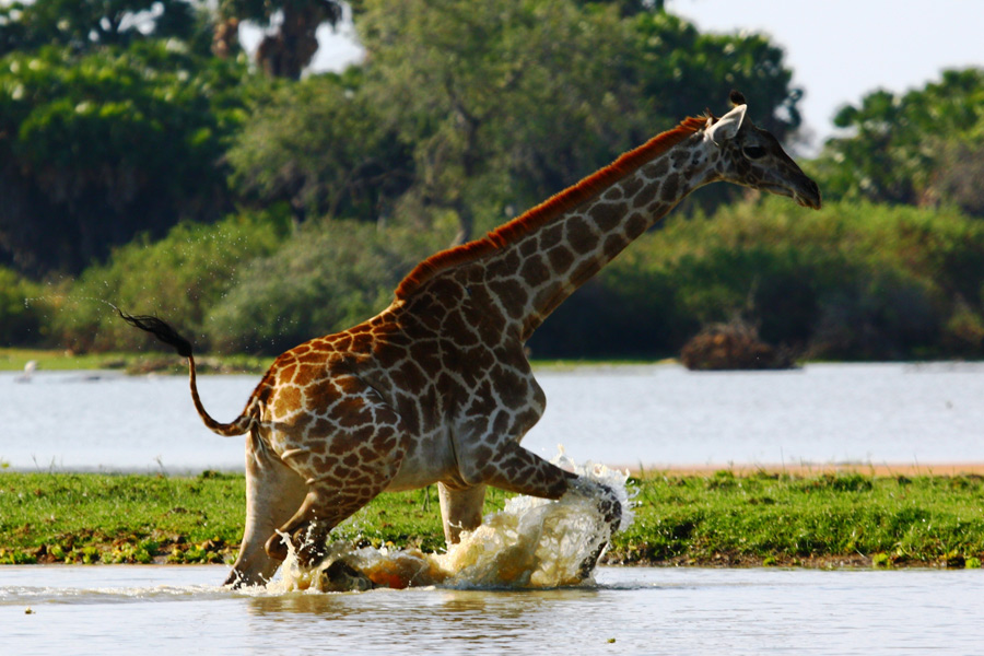 Voyage en Tanzanie - Agence de Voyage Locale Afric Aventure