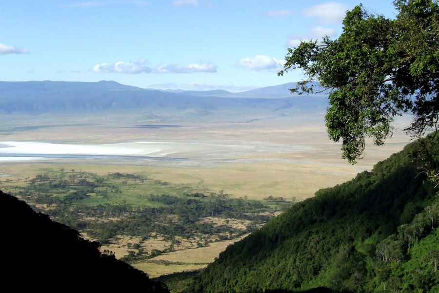 Voyage en Tanzanie - Agence de Voyage Locale Soaring Flamingo