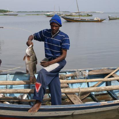 Voyage en Tanzanie - Agence de Voyage Locale Soaring Flamingo