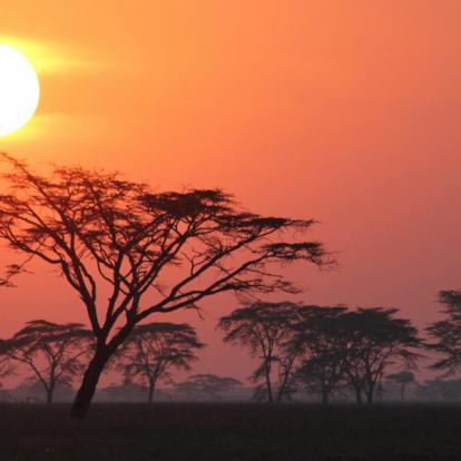 Voyage en Tanzanie - Agence de Voyage Locale Soaring Flamingo