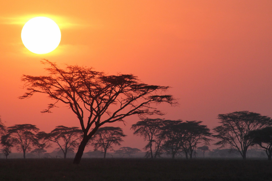 Voyage en Tanzanie - Agence de Voyage Locale Soaring Flamingo