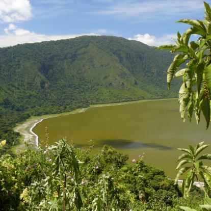 Voyage en Tanzanie - Agence de Voyage Locale Soaring Flamingo