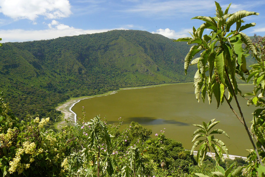 Voyage en Tanzanie - Agence de Voyage Locale Soaring Flamingo