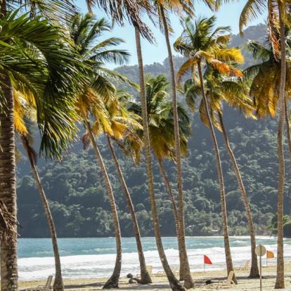 Voyage à Trinité et Tobago - Agence de Voyage Locale Vamos!