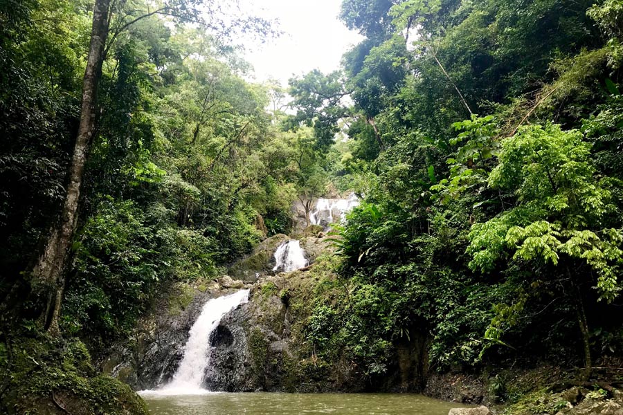 Voyage à Trinité et Tobago - Agence de Voyage Locale Vamos!