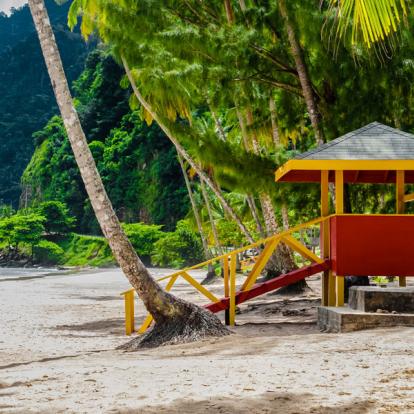 Voyage à Trinité et Tobago - Agence de Voyage Locale Vamos!