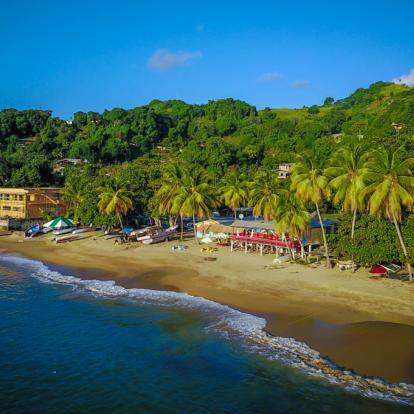 Voyage à Trinité et Tobago - Agence de Voyage Locale Vamos!