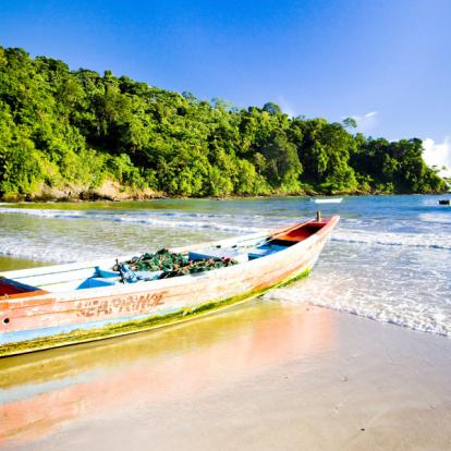 Voyage à Trinité et Tobago - Agence de Voyage Locale Vamos!
