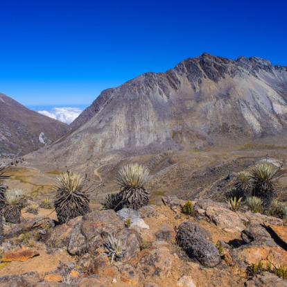 Voyage au Venezuela - Agence de Voyage Locale Topaz