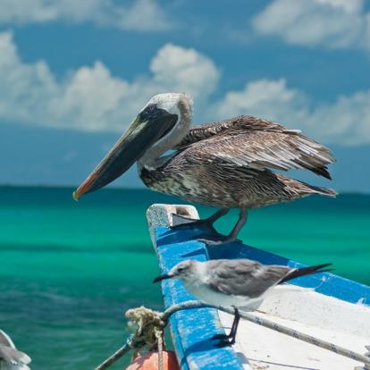 Voyage au Venezuela - Agence de Voyage Locale Tucaya