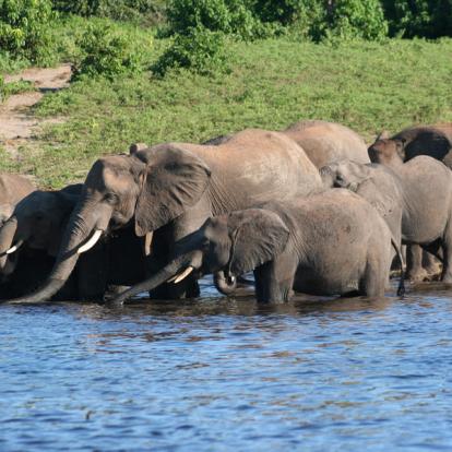 Voyage en Zambie - Agence de Voyage Locale Biwakwango