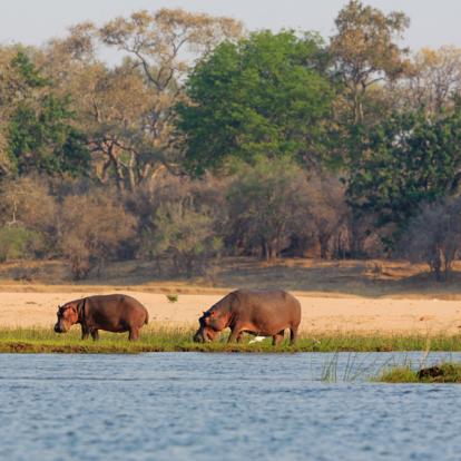 Voyage en Zambie - Agence de Voyage Locale Biwakwango