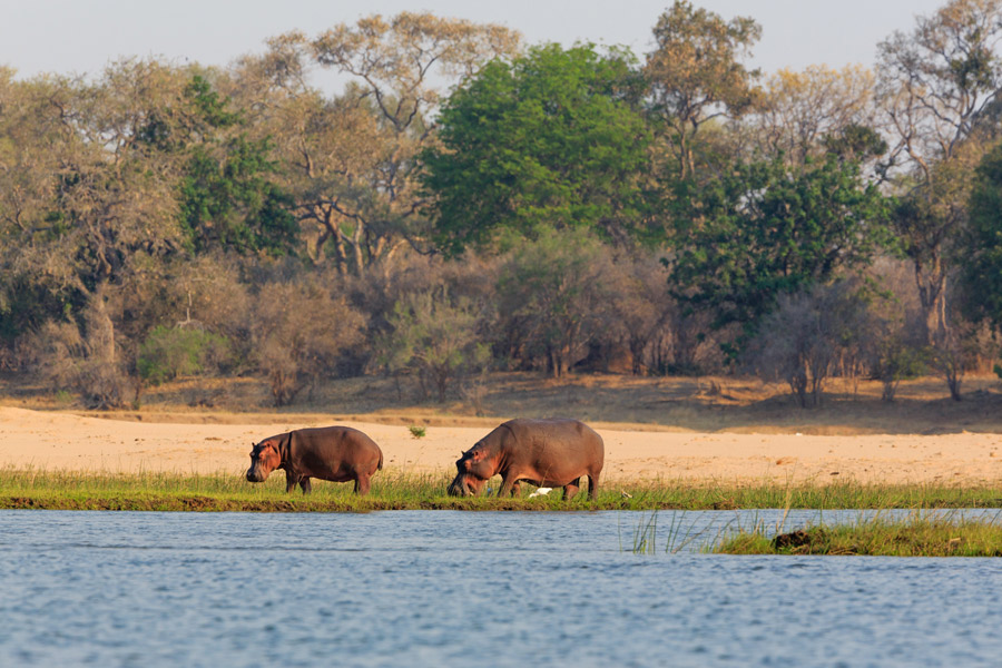 Voyage en Zambie - Agence de Voyage Locale Biwakwango