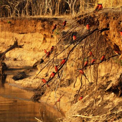 Voyage en Zambie - Agence de Voyage Locale Biwakwango