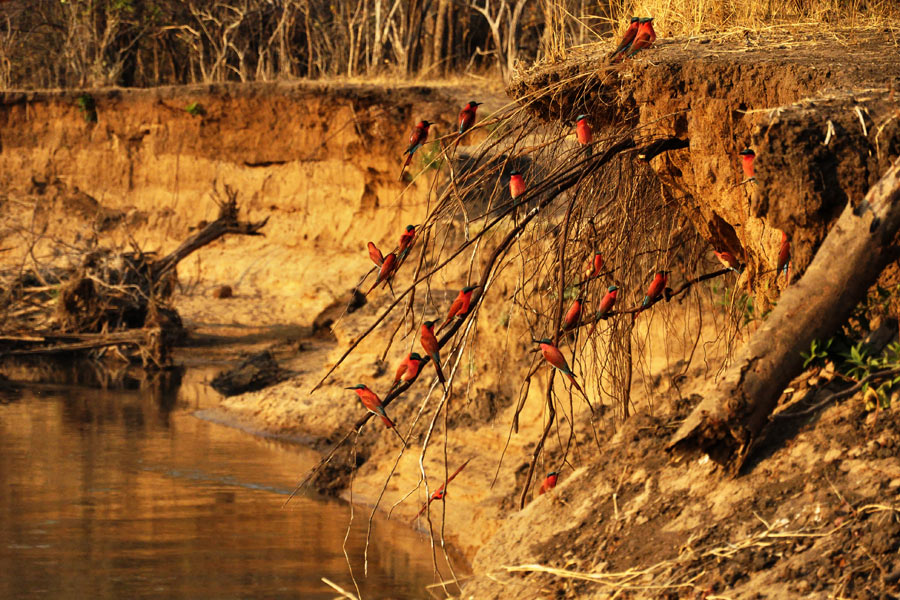 Voyage en Zambie - Agence de Voyage Locale Biwakwango