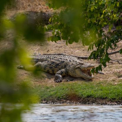 Voyage en Zambie - Agence de Voyage Locale Sikiliza