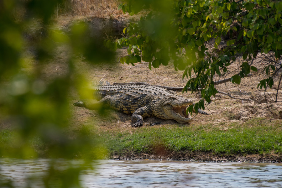 Voyage en Zambie - Agence de Voyage Locale Sikiliza