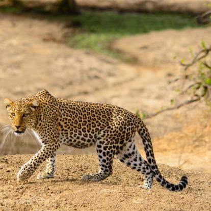Voyage en Zambie - Agence de Voyage Locale Sikiliza