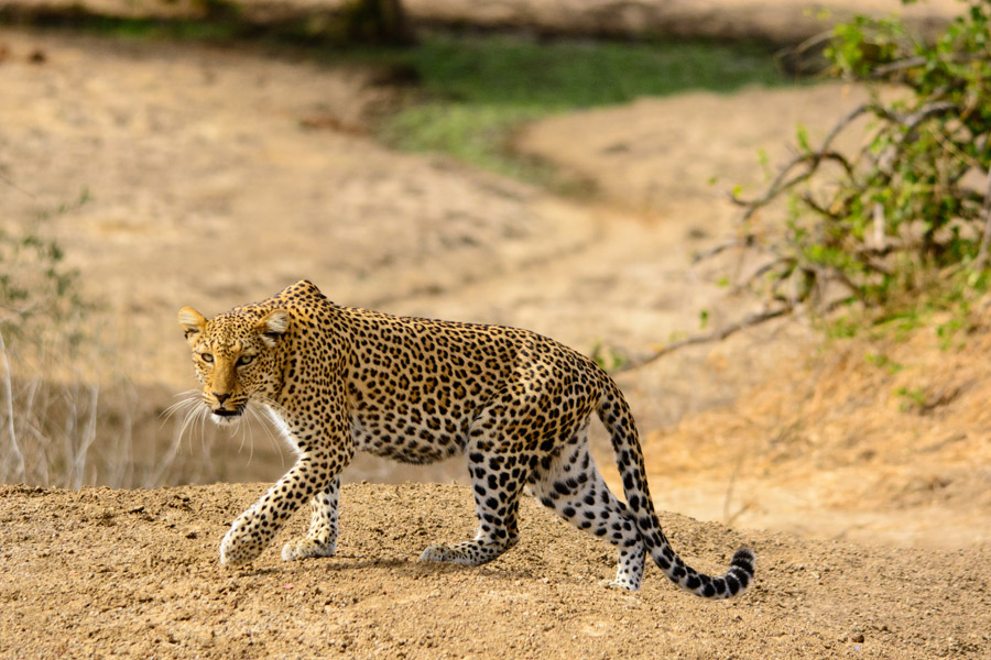 Voyage en Zambie - Agence de Voyage Locale Sikiliza