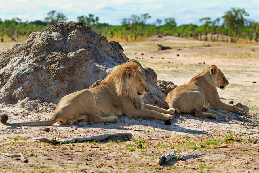 Voyage au Zimbabwe - Agence de Voyage Locale Sikiliza Zimbabwe