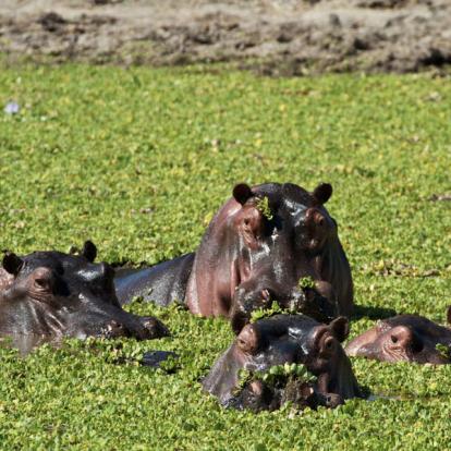 Voyage au Zimbabwe - Agence de Voyage Locale Sikiliza Zimbabwe