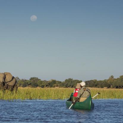 Voyage au Zimbabwe - Agence de Voyage Locale Sikiliza Zimbabwe