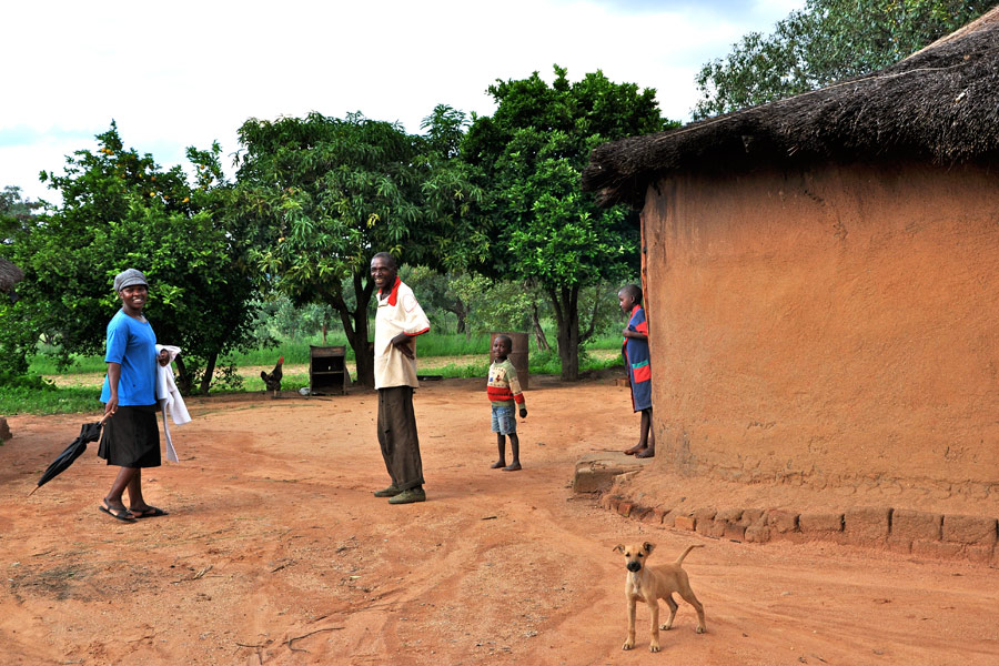 Voyage au Zimbabwe - Agence de Voyage Locale Zazu Voyage