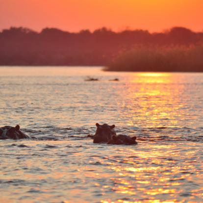 Voyage au Zimbabwe - Agence de Voyage Locale Zazu Voyage