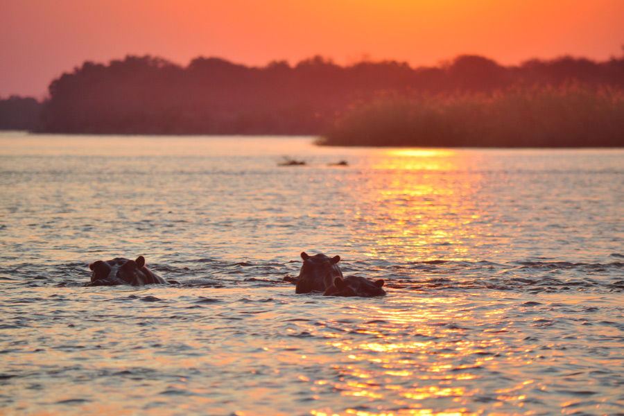 Voyage au Zimbabwe - Agence de Voyage Locale Zazu Voyage