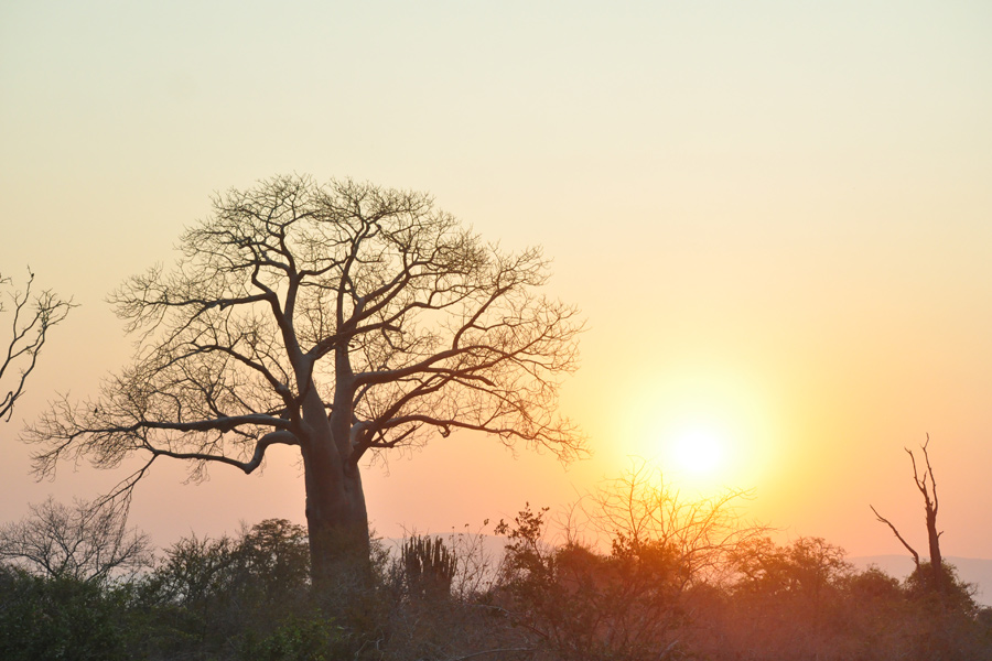 Voyage au Zimbabwe - Agence de Voyage Locale Zazu Voyage