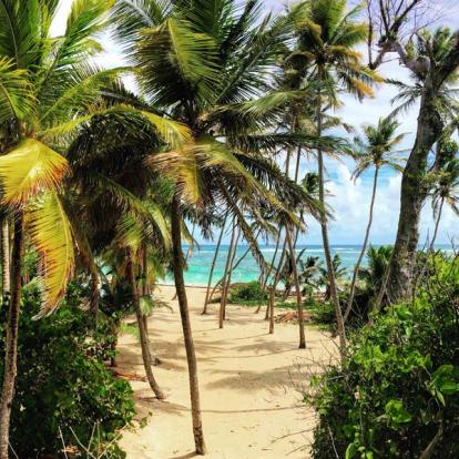 Martinique Voyage en Martinique - Agence de Voyage Locale TropicMe