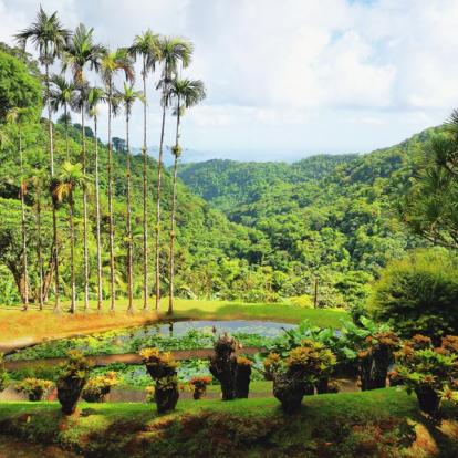 Voyage en Martinique - Agence de Voyage Locale TropicMe