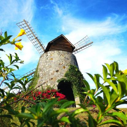 Martinique Voyage en Martinique - Agence de Voyage Locale TropicMe