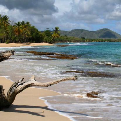 Martinique Voyage en Martinique - Agence de Voyage Locale TropicMe