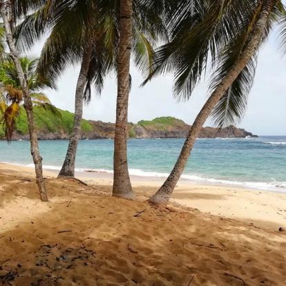 Martinique Voyage en Martinique - Agence de Voyage Locale TropicMe