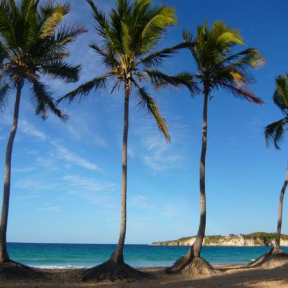 Voyage en République Dominicaine - Agence de Voyage Locale locale Viaggi Caribe