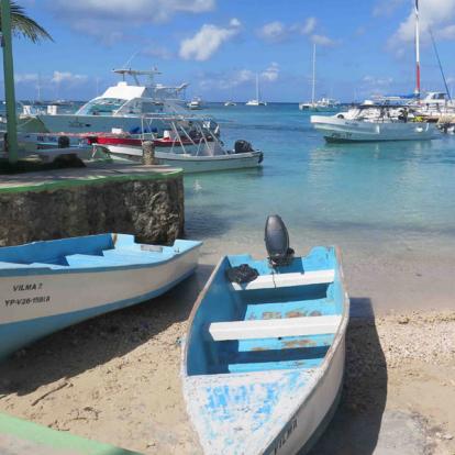 Voyage en République Dominicaine - Agence de Voyage Locale locale Viaggi Caribe