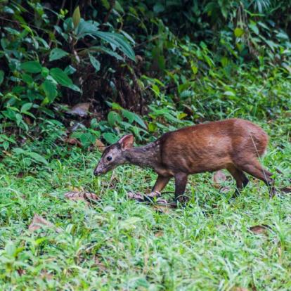 Voyage au Belize - Agence de Voyage Locale Terra Guatemala-Belize