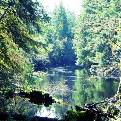Colombie-Britannique - Randonnée Haida Gwaii Voyage au Canada Sur Mesure - Agence de Voyage Terra Canada