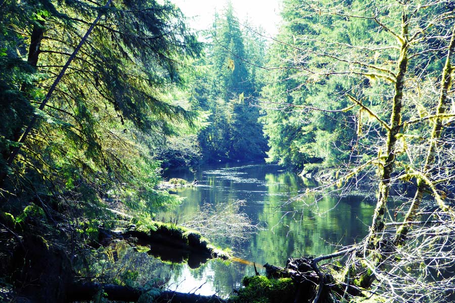 Voyage au Canada Sur Mesure - Agence de Voyage Terra Canada