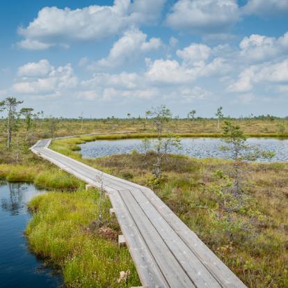 Parc National de Soomaa Voyage dans les Pays Baltes - Agence de Voyage Locale Taïga Euro Baltika
