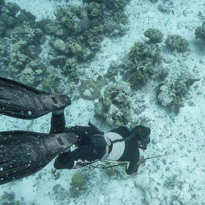 Voyage à Cuba - Agence de Voyage Locale Cuba Autrement