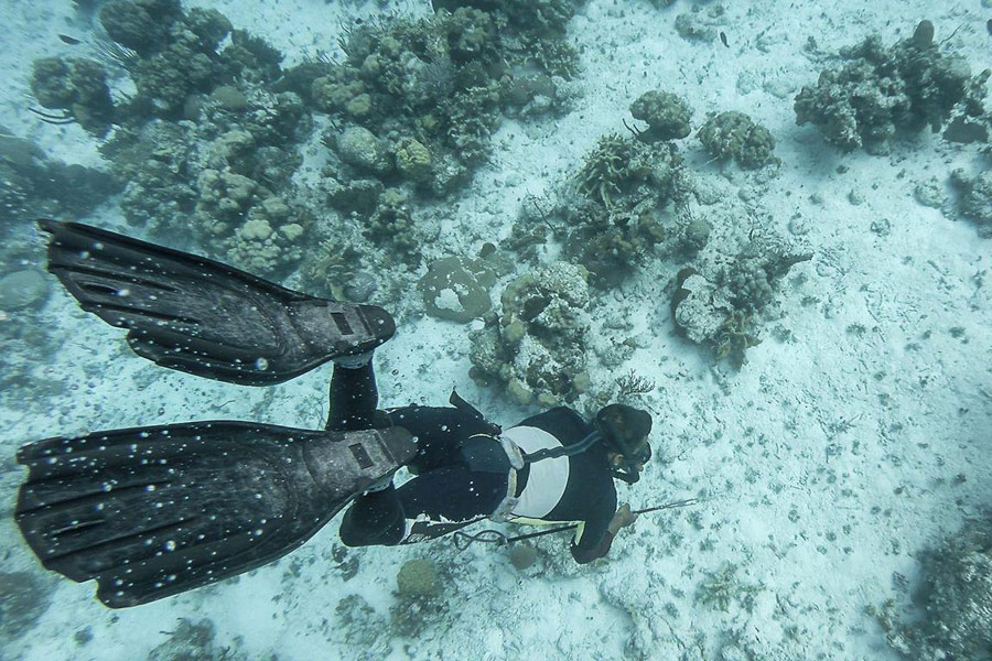 Voyage à Cuba - Agence de Voyage Locale Cuba Autrement